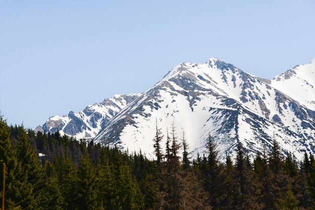 Фото Прекрасный вид на снежные горы с голубым небом в солнечный весенний день. западные татры.