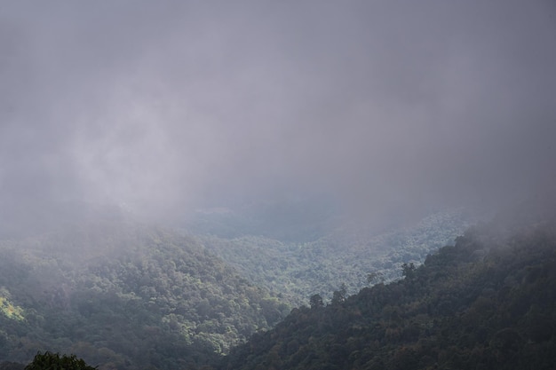 写真 山の美しい景色とモンジョン山の森の霧