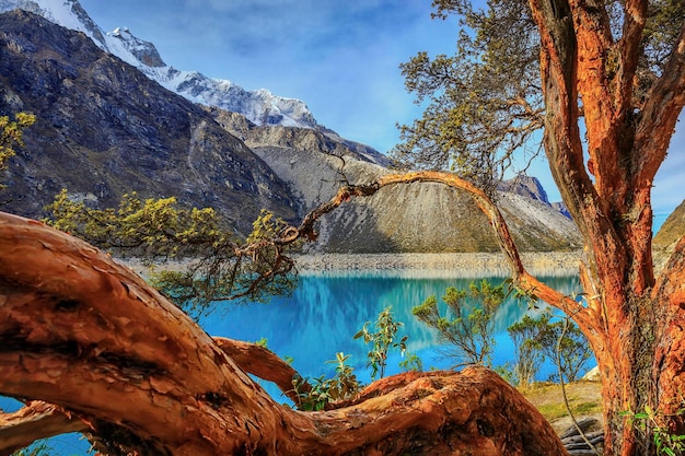 Photo beautiful view of the paron lagoon in caraz peru