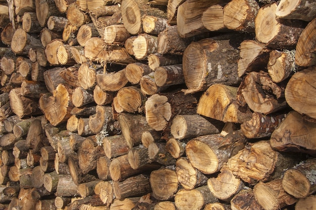 Bella vista di una pila di tronchi di legno, tagliati e pronti per essere utilizzati catturati alla luce del giorno