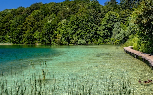 Beautiful view in Plitvice Lakes National Park Croatia