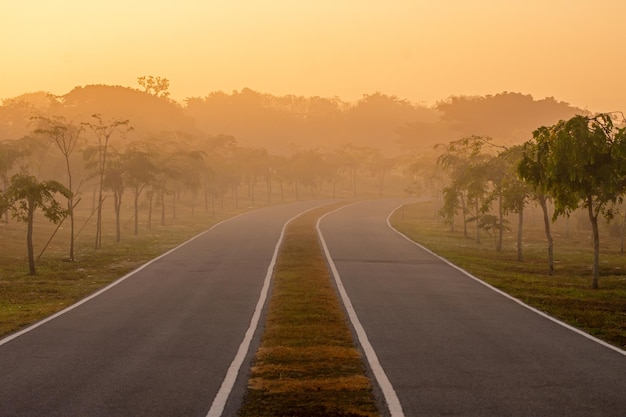 The beautiful view of the road in the early morning with the mist and the warm sunshine