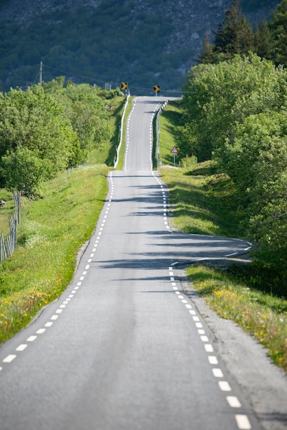 憂鬱な日に草木に囲まれた道路の美しい景色