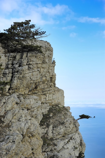 岩と野原の美しい景色クリミア半島中央部の自然