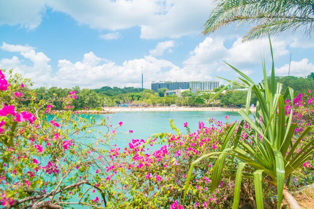 A beautiful view of Sentosa Islanda located in Singapore