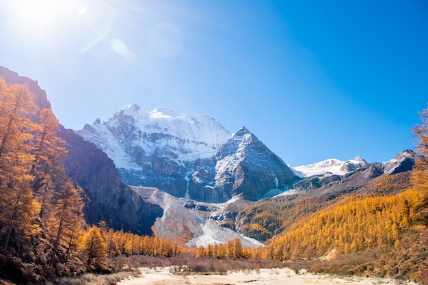 Beautiful view snow peak with autumn leaves in  yading nature reserve, Sichuan, China.