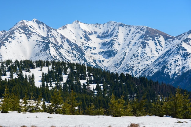 春の晴れた日に、青い空と雪に覆われた山々 の美しい景色。西タトラ。