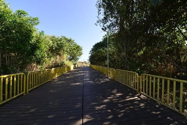 A beautiful view of South Deck Park located in Brasilia capital of Brazil