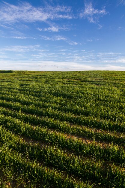 Alentejo 지역, 포르투갈에 봄 시골 풍경의 아름 다운보기.