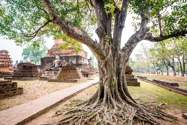 A beautiful view of Sukhothai Historical Park located in Thailand