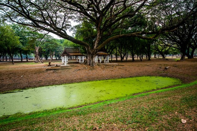 A beautiful view of Sukhothai Historical Park located in Thailand