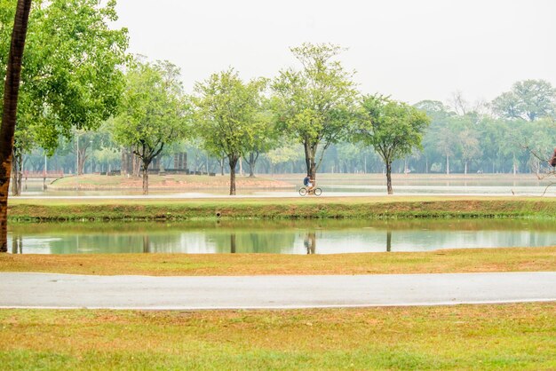 Прекрасный вид на исторический парк Сукхотай, расположенный в Таиланде.