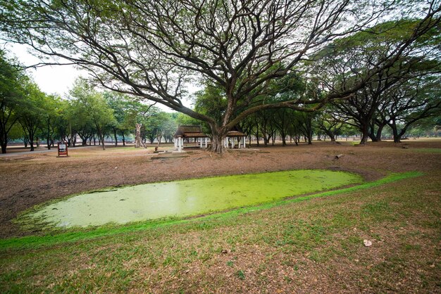 A beautiful view of Sukhothai in Thailand