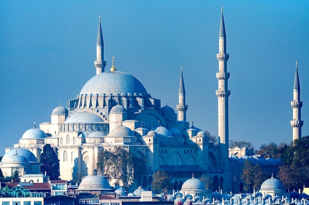 The beautiful view on Suleymaniye Mosquei Istanbul, Turkey.