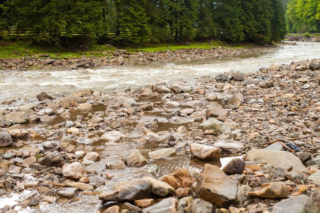 Beautiful view of summer landscape with river and forest