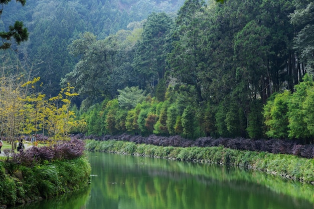 타이완 난투에 있는 선 링크 해양 숲 레크리에이션 지역의 아름다운 풍경