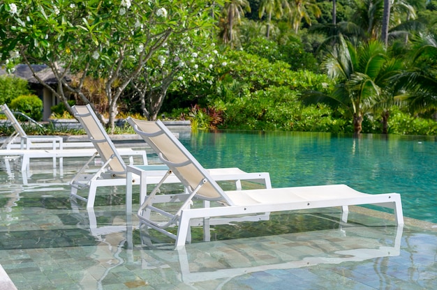 녹색 열대 정원이있는 수영장의 아름다운 전망