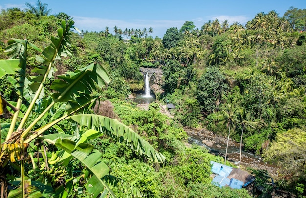 A beautiful view of Tegenungan Waterfall in Bali Indonesia