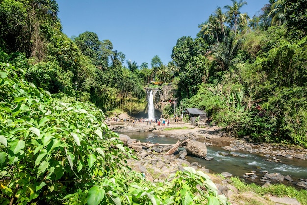 A beautiful view of Tegenungan Waterfall in Bali Indonesia