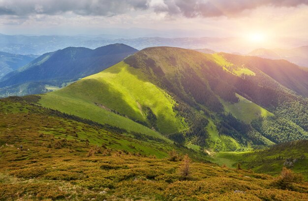 晴れた夏の日に、背景の山に緑の牧草地の木々の暗い低い雲がある、静かな高山の風景の美しい景色