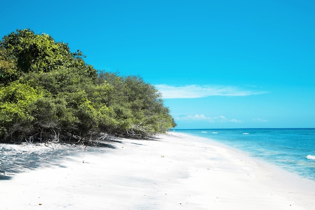 열대 바다와 아름다운 푸른 나무의 아름다운 전망 여름 휴가 휴가 배너 개념 럭셔리 열대 풍경 배경 Gili Trawangan