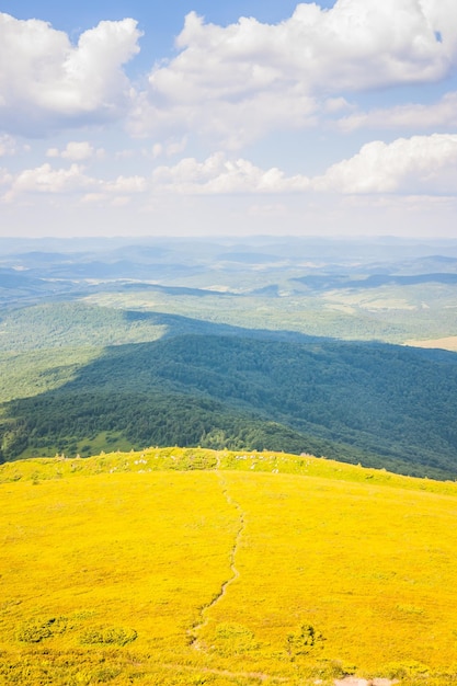 Photo beautiful view of the ukrainian mountains carpathian and valleys beautiful green mountains in summer