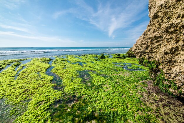 Una bellissima vista della spiaggia di uluwatu situata a bali indonesia