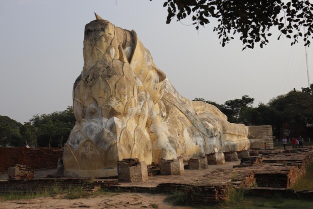 A beautiful view of Wat Lokaya Sutharam buddhist temple located in Ayutthaya Thailand