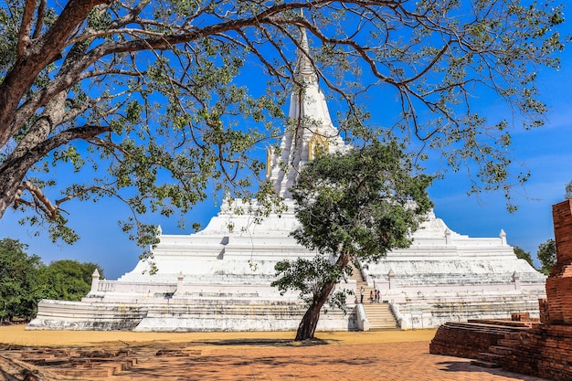 タイのアユタヤにある白い寺院ワットプーカオトーンの美しい景色