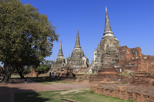 タイのアユタヤにあるワット・プラ・シーサンペット神殿の美しい景色