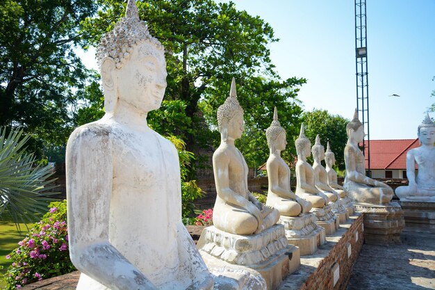 タイのアユタヤにあるワットヤイチャイモンコール寺院の美しい景色