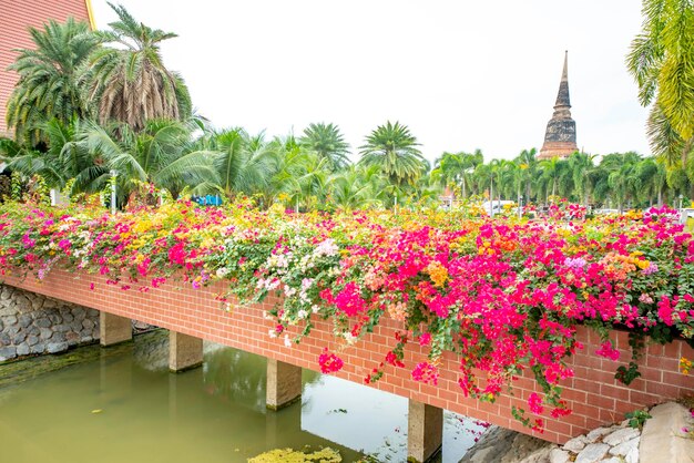 タイのアユタヤにあるワットヤイチャイモンコン寺院の美しい景色