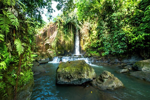 A beautiful view of waterfall in Bali Indonesia