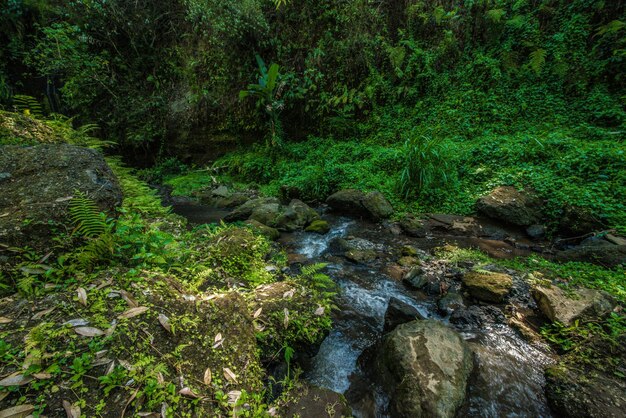 A beautiful view of waterfall in Bali Indonesia