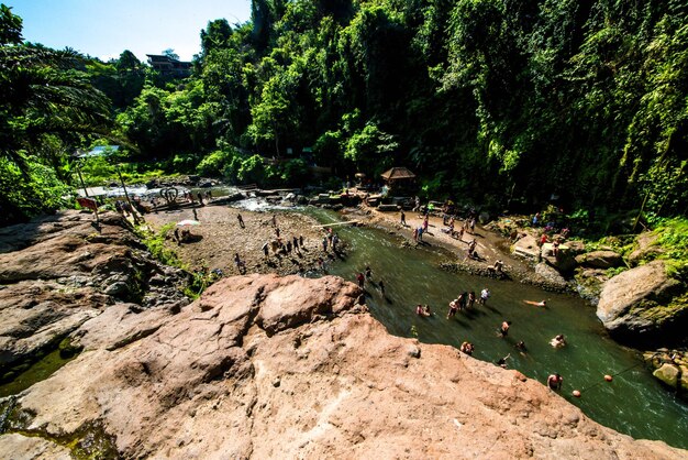 インドネシアのバリ州の滝の美しい景色
