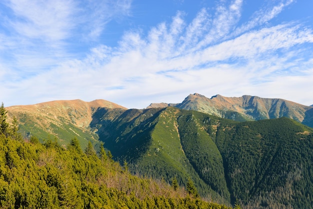 夏の山頂に膝材と澄んだ青い空を持つ西タトラ山脈の美しい景色