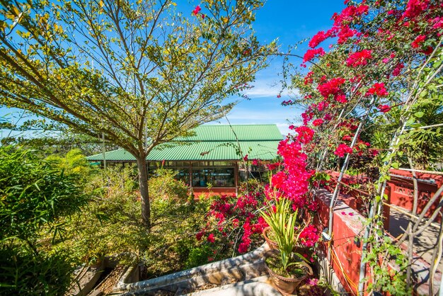 A beautiful view of winery in Inle Lake Myanmar