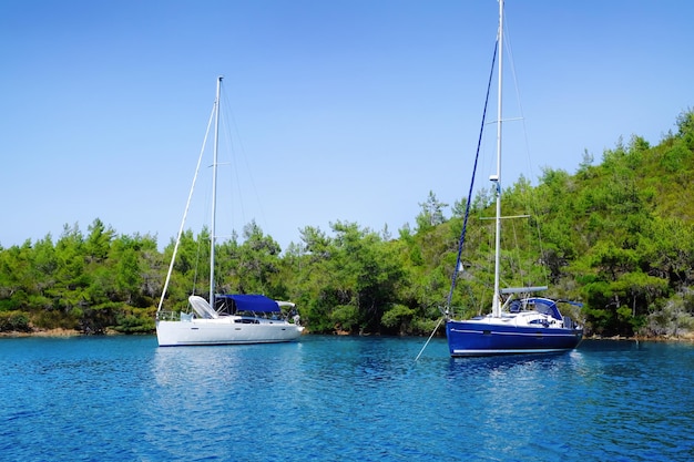 Beautiful view with modern boats in tropical resort