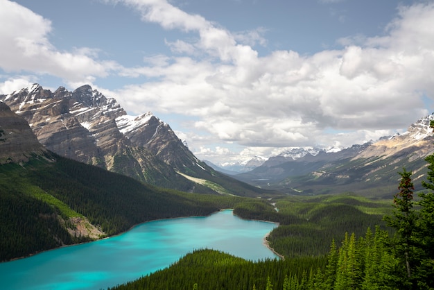 A beautiful viewpoint to see Peyto lake in Canada