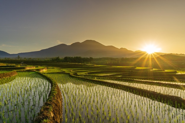 Beautiful views bali with sunlight and morning mist on blue mountains and beautiful terraces