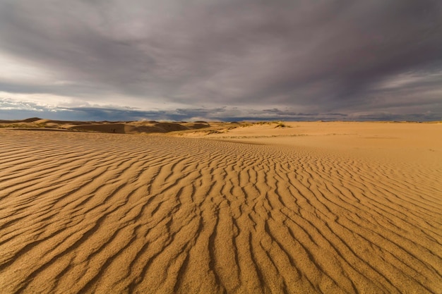 Beautiful views of the desert landscape Gobi Desert Mongolia