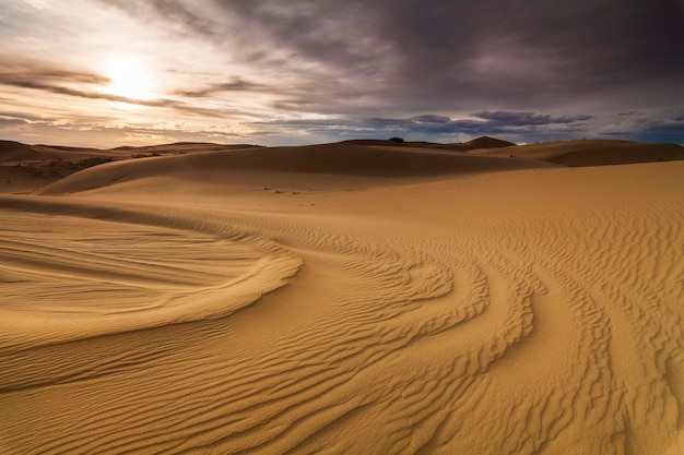 Splendide vedute del paesaggio desertico deserto del gobi mongolia