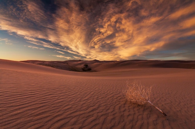 Beautiful views of the Gobi desert Mongolia