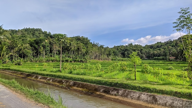 BEAUTIFUL VIEWS IN INDONESIA