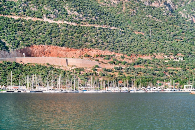 マリーナの美しい景色 緑の岩場の近くにマストを備えた多くのヨットが係留されている