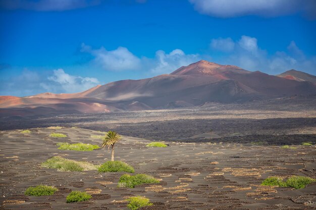 Beautiful views and volcanic landscapes from the canary island of lanzarote