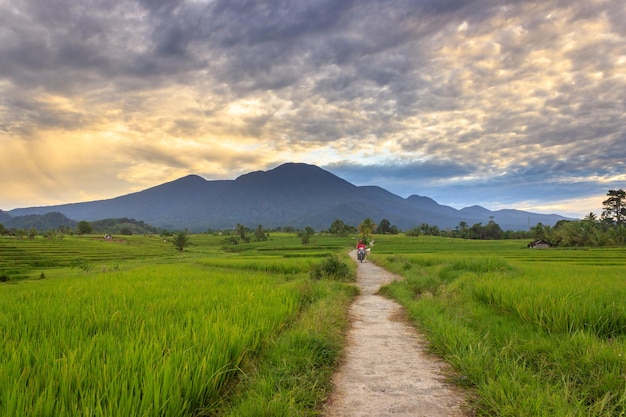 Beautiful village scenery on a beautiful morning with clear sky