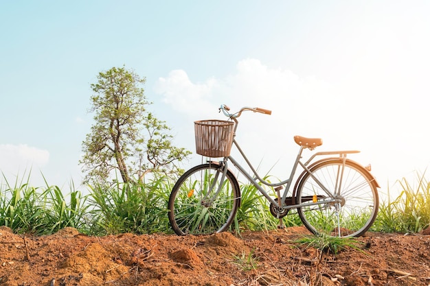 Foto bella bicicletta d'epoca nel campo con luce solare colorata e cielo blu