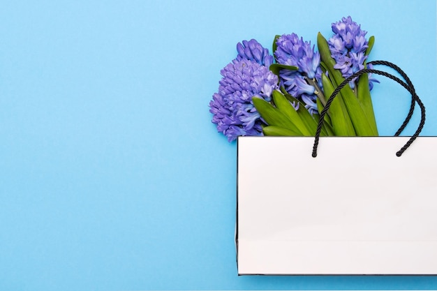 Beautiful violet hyacinth flowers on blue background