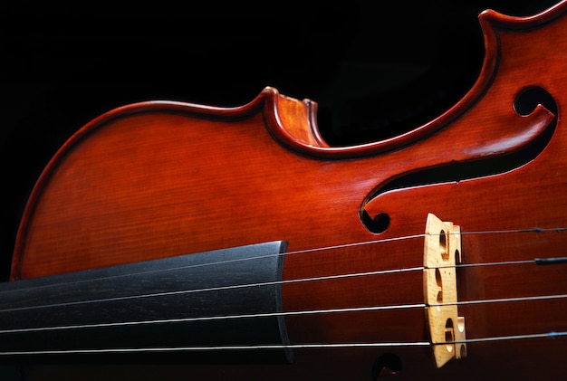 Beautiful violin closeup on black background